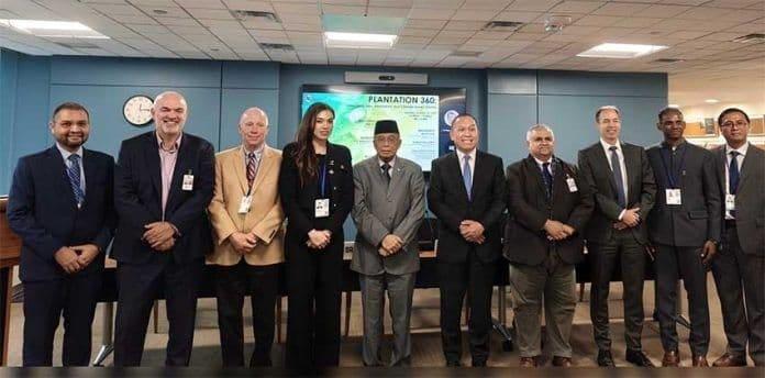 Sawit Dulu Dibenci, Kini Dipuji di Forum Bank Dunia!