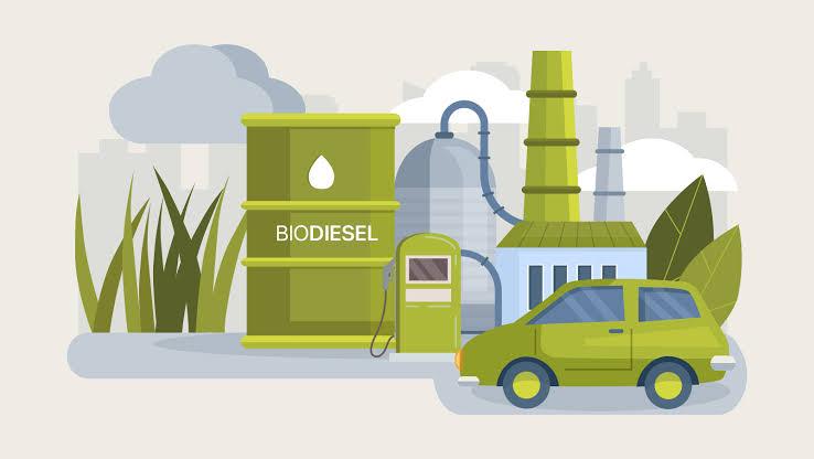 CSDS: Subsidi Biodiesel Telan Dana Sawit, Riset dan Petani Cuma Kebagian Remah!