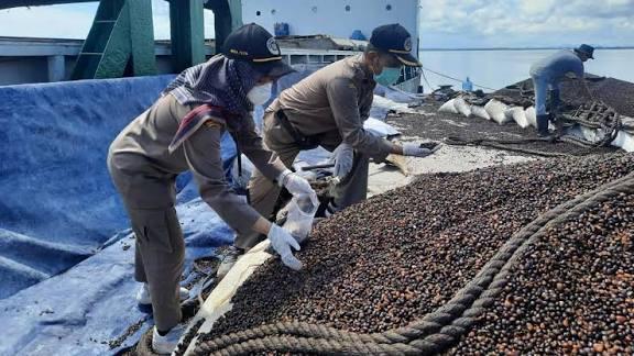 Bukan Cuma Buat Ekspor, Barantin Mau Sawit Jadi Penopang Pangan dan Energi RI