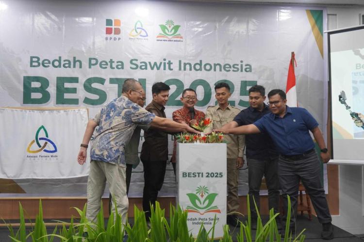 BPDP dan APMI Siapkan Peta Baru Masa Depan Sawit Indonesia, Seperti Apa?