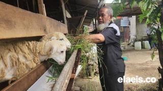 Cerita Kebun Sawit Mukhlis di Subulussalam