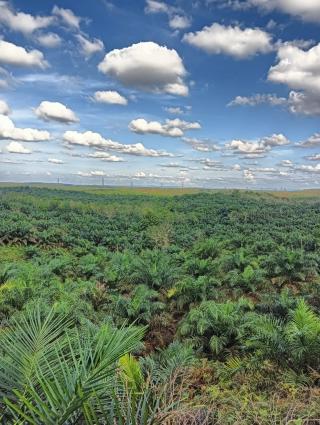 Surati Satgas PKH, Petani Usulkan Pelibatan Masyarakat Untuk Pengelolaan Lahan Sitaan