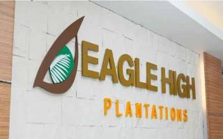Buruan Lamar! PT Eagle High Plantations Butuh 7 Posisi Strategis Sekaligus