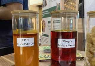 Harga CPO Tersandung Dua Hari Beruntun, Akankah Anjlok Lagi?