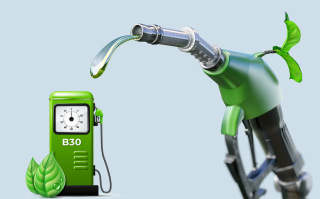 Uji Coba B50 Tuntas, ESDM Pastikan Mobil Segera Gunakan Biodiesel Sawit