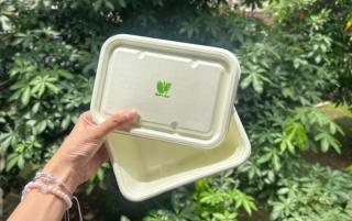 Limbah Sawit dan Daun Pepaya Kini Jadi Biofoam Super Eco-Friendly