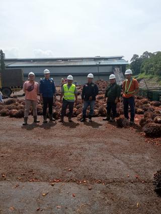 Ketimpangan Harga TBS Masih Terjadi di Sejumlah PKS di Bengkulu