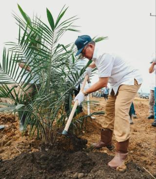 Perkuat Asta Cita, PTPN IV Regional III Remajakan 949,6 Ha Sawit Renta