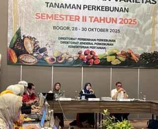 Bibit Sawit Unggul dari Sidang Varietas Siap Dipakai Petani 2026