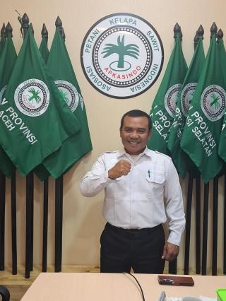 Harga Sawit Aceh Turun, Begini Kata Apkasindo