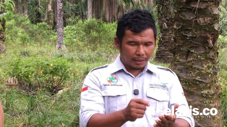 Cerita Sawit Berkelanjutan di Gotting Sidodadi