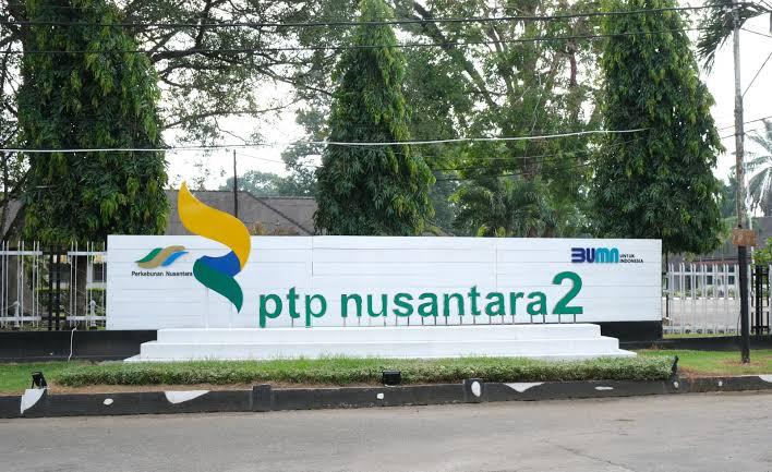 BPK Bongkar Pengelolaan CPO PTPN II Amburadul, Negara Rugi Miliaran!