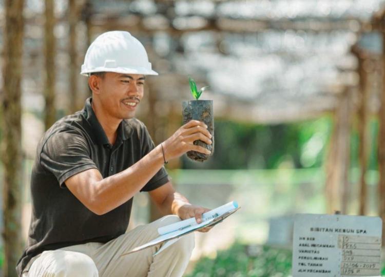 2.548 Tenaga Kerja Lokal Perkuat Transformasi PTPN IV Regional III