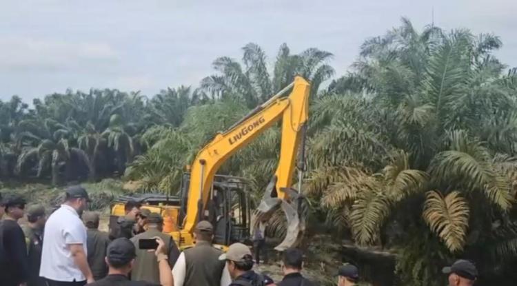 Warga Tesso Nilo di Riau Tolak Relokasi, Pilih Rawat Hutan Sendiri Demi Hak dan Lahan Mereka