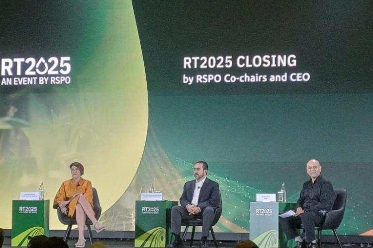 RSPO Siapkan Skema Jual-Beli Karbon, Petani Sawit Bisa Dapat Cuan Tambahan