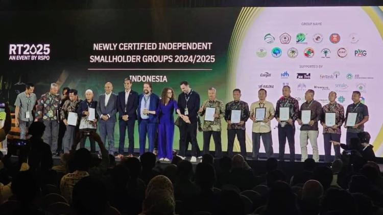 Sawit Berkelanjutan Bukan Cuma Pabrik Besar, Petani Ketapang Ini Buktinya!