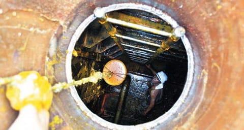 Ramai Pelanggaran Ekspor CPO, Berapa Sih Cuan Bea Keluar Sawit Buat Negara?