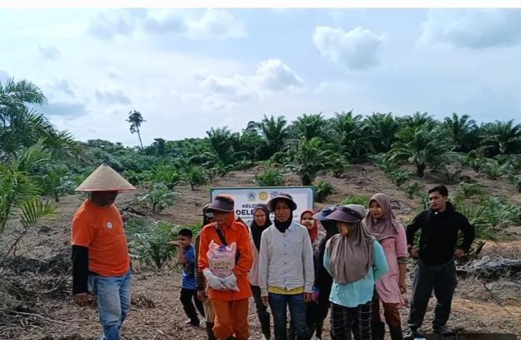 Dukung Swasembada Pangan, Poktan Deleng Karo Tanam Padi Gogo