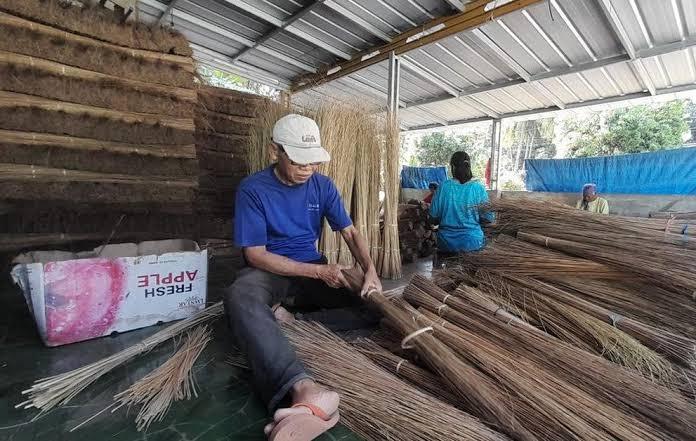 Pasar Lesu, Ekspor Lidi Sawit Indonesia Ambruk 27 Persen