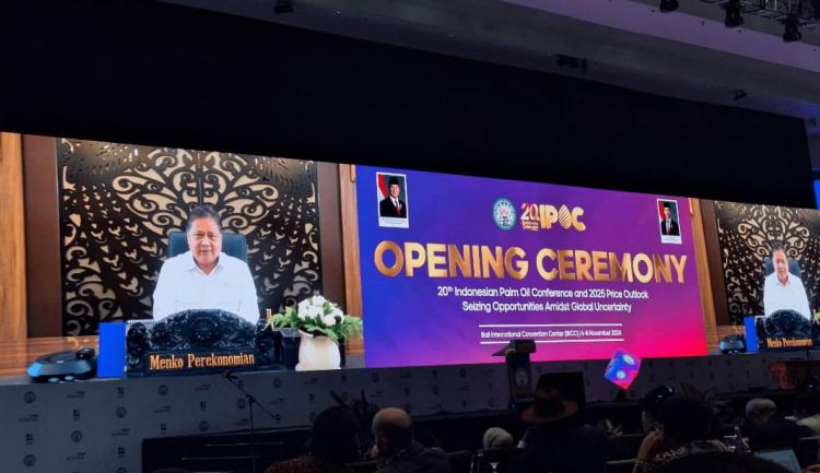 Pemerintah Kebut Hilirisasi Sawit demi Implementasi Biofuel Semester II/2026