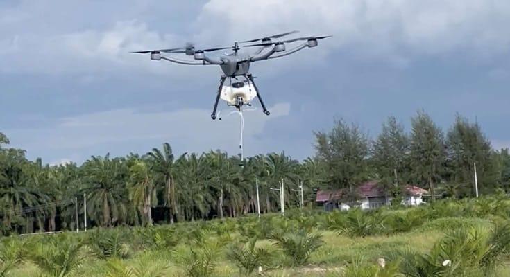 Transformasi Digital Jadi Senjata Baru Sawit Indonesia Agar Tetap Juara Dunia