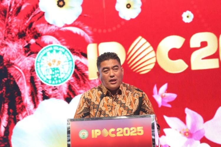 Pemerintah Permudah PSR, Petani Sawit Bisa Peremajaan Lebih Cepat