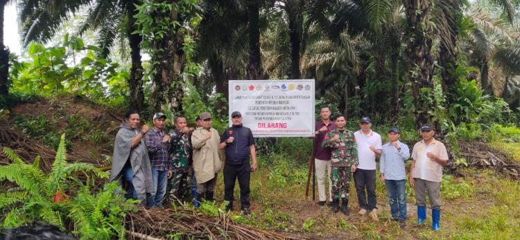 Terbukti PT.ALM Rambah Kawasan Hutan Lindung Untuk Kebun Sawit