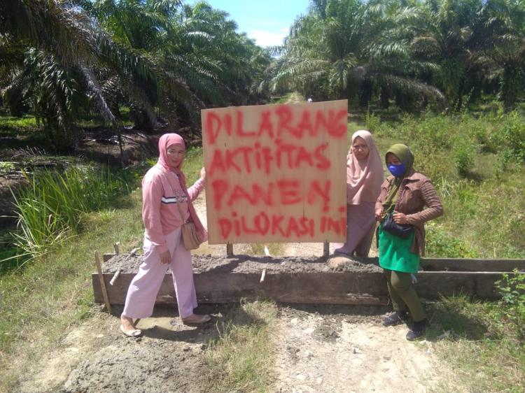 Bagi Hasil Sawit Hilang Puluhan Tahun, PT Nusaina Group Dituntut Rp65 Miliar