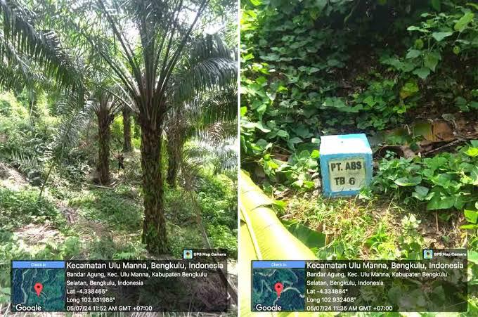 Konsesi Sawit Makan Lahan Warga Bengkulu, PT ABS Dituding Tabrak 755 SHM