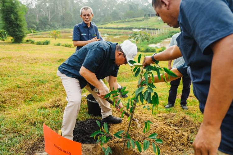 Hijaukan Bumi Lancang Kuning, PTPN IV Regional III Tanam 10.500 Pohon Sepanjang 2025
