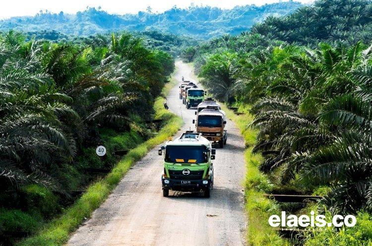 Soroti Kekacauan TNTN, Forum Tani Sawit Sebut Pansus Agraria 