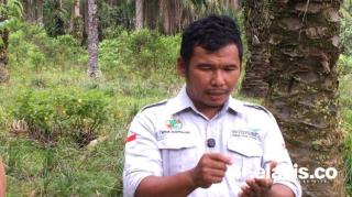 Cerita Sawit Berkelanjutan di Gotting Sidodadi