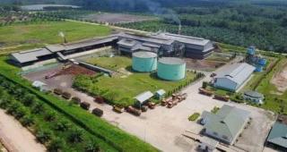 Akhirnya, Pesisir Selatan Kebagian Pabrik Sawit, Siap Serap Ribuan Pekerja