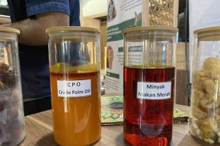 Harga Referensi CPO November 2025 Dipatok USD 963,75/MT, Naik Tipis tapi Krusial