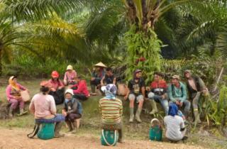 60 Persen Kecelakaan Kerja Ada di Perkebunan Sawit, Ribuan Korban Tak Bisa Klaim JKK