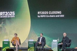 RSPO Siapkan Skema Jual-Beli Karbon, Petani Sawit Bisa Dapat Cuan Tambahan