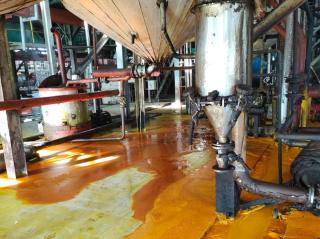 4 Ton Minyak Sawit Diduga Tumpah dan Cemari Parit di Sergai, PTPN IV Adolina Akhirnya Buka Suara