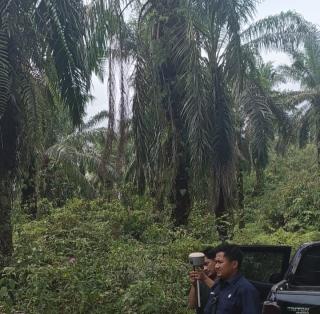 Kemitraan Putus, Enam Tahun 136 Hektar Tanah TKD Terlantar