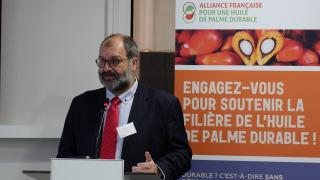 Sawit Naik-Turun Gara-gara Biodiesel dan El Nino, Begini Trik Biar Tetap Untung