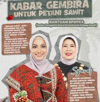 Wow! Pemkab Dharmasraya Manjakan Petani Sawit dengan Pupuk Gratis dan Mobil Angkut Panen