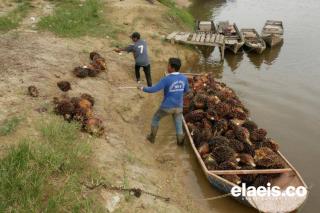 Pemerintah Kudu Tegas Terhadap PKS Tidak Taat Aturan di Aceh Timur