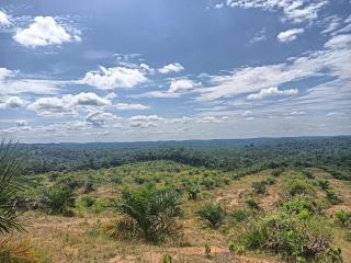 2.721,35 Hektar Kebun Sawit di Riau Lulus Rekomtek, 17 Kelembagaan Tunggu PSR