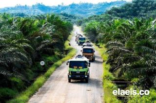 Soroti Kekacauan TNTN, Forum Tani Sawit Sebut Pansus Agraria 