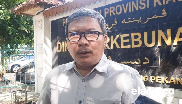 Warga TNTN Berani Tantang Negara: Siap Bayar Rp30 Miliar untuk Pulihkan Hutan Sendiri