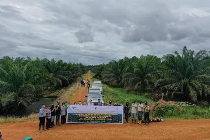 Pantau Gambut: Ini Daftar 20 Korporasi yang ‘Mengobrak-abrik’ Gambut hingga Banjir Meluas