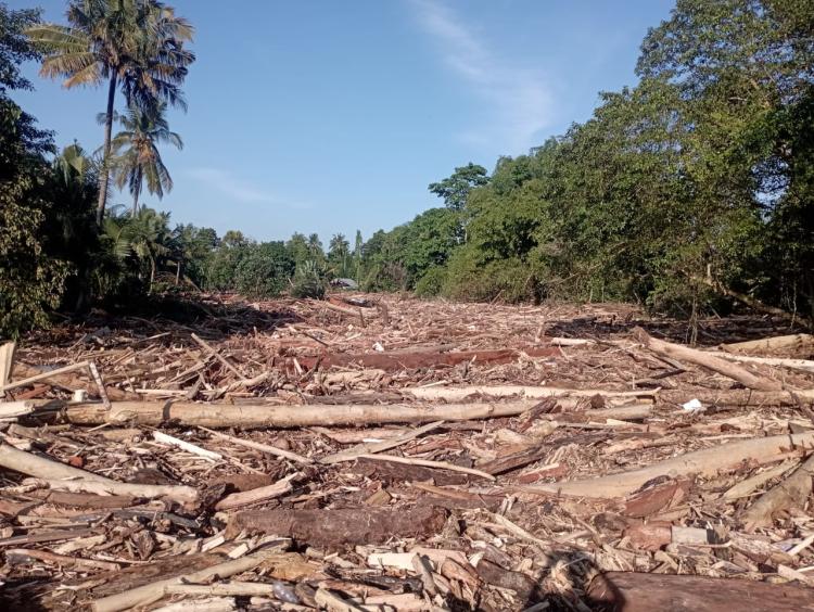Petani Korban Bencana Berharap Ada Bantuan Kapur Dolomite dan Kieserite&nbsp;