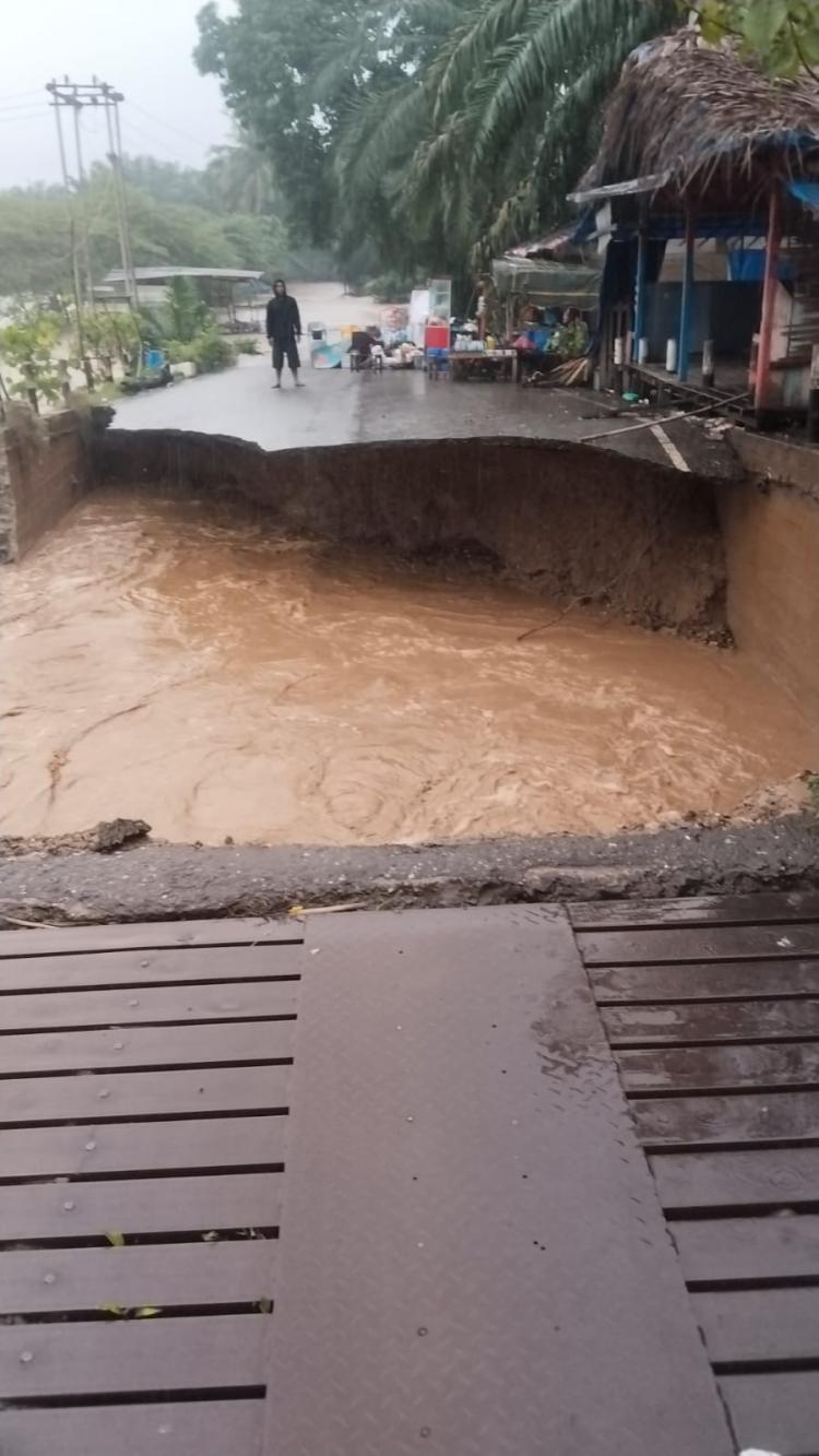 Petani Sawit di Aceh Tenggara Gundah, Hasil Kebun Sulit Dapat Angkutan