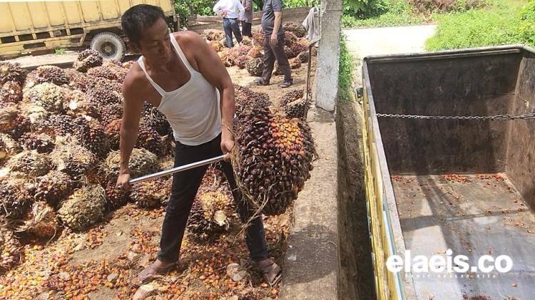 Ekonomi yang Tidak Menindas dari Hulu