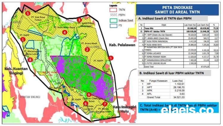 PURAKA: Deforestasi Lansekap Tesso Nilo Mayoritas Ulah Korporasi, Bukan Masyarakat