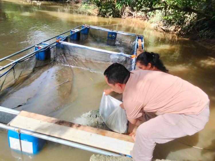 PTPN IV Regional III Stimulus Pemuda Tandun Kelola Potensi Sungai Tapung Wujudkan Kemandirian Ekonomi